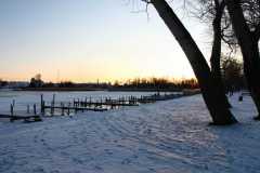 Project-365-008-Billede-221_Flickr