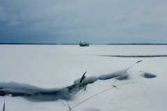 Project-365-020-Billede-209_Flickr