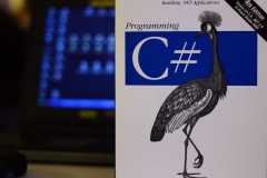 Project-365-079-Billede-1093_Flickr