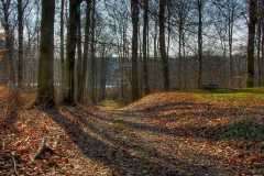 Project-365-097-Billede-1572_0_1_Flickr