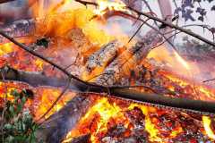 Project-365-174-Billede-2910_Flickr