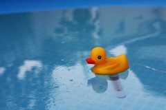 Project-365-190-Billede-3131_Flickr