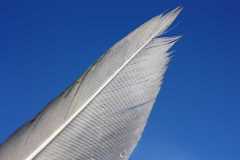 Project-365-199-Billede-3333_Flickr