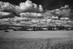 Project-365-246-Billede-4035_Flickr