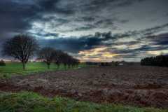 Project-365-293-Billede-4422_0_1_Flickr