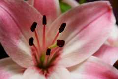 Project-365-297-Billede-4444_Flickr