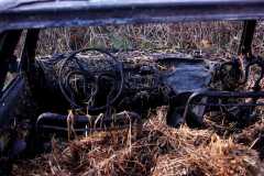 Project-365-310-Billede-4563_Flickr