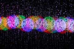 012-IMG_4525