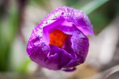 065-IMG_5500-2
