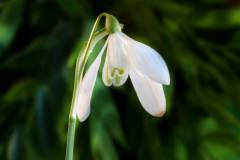 068-IMG_5533_Soft-2-3