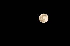 069-IMG_5547-2