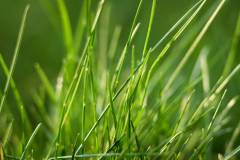 080-IMG_5526-2