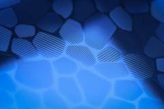 082-IMG_5734