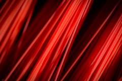 085-IMG_5813