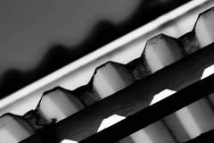 087-IMG_5869