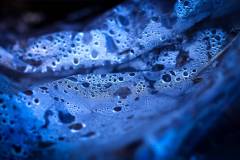 088-IMG_5822
