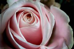 094-IMG_5988