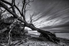 103-IMG_6156_7_8_Detailed-Edit-Edit