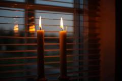 125-IMG_6463
