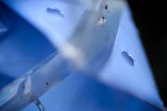 137-IMG_6552