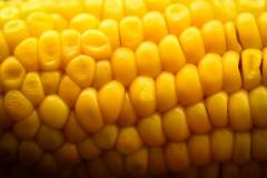 162-IMG_6975