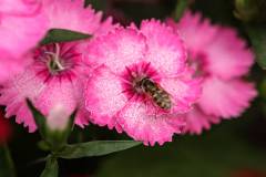 179-IMG_7150
