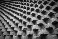 205-IMG_7517
