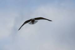 206-IMG_7540