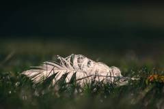 213-IMG_7659-2