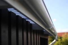 216-IMG_7688