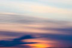 217-IMG_7697