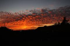 218-IMG_7710