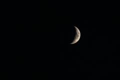 236-IMG_7916