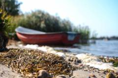 258-IMG_8232