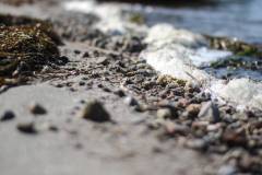 261-IMG_8228
