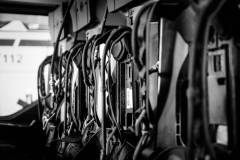 272-IMG_8399