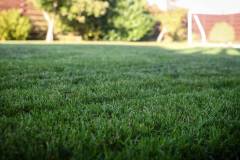 278-IMG_8427