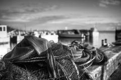 285-IMG_8500_1_2_Detailed