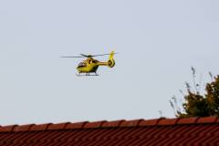 297-IMG_8717