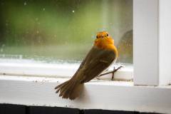 306-IMG_8744
