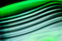 318-IMG_8878