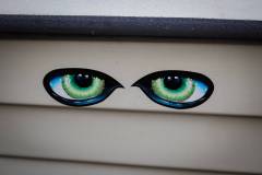319-IMG_8807