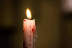 338-IMG_9084