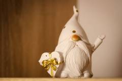 342-IMG_9245