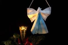 346-IMG_9274