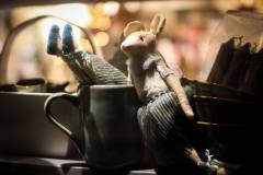 354-IMG_9351