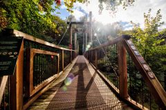 IMG_8523_Balancer-Edit-scaled