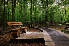 IMG_8532_3_4_Compressor-scaled