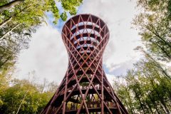 IMG_8565_Balancer-scaled