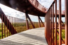 IMG_8631_Balancer-scaled